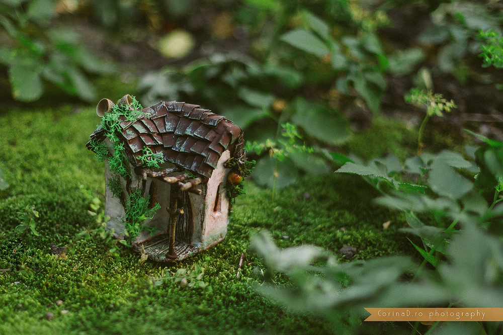 Casuta licuricilior- casa in miniatura
